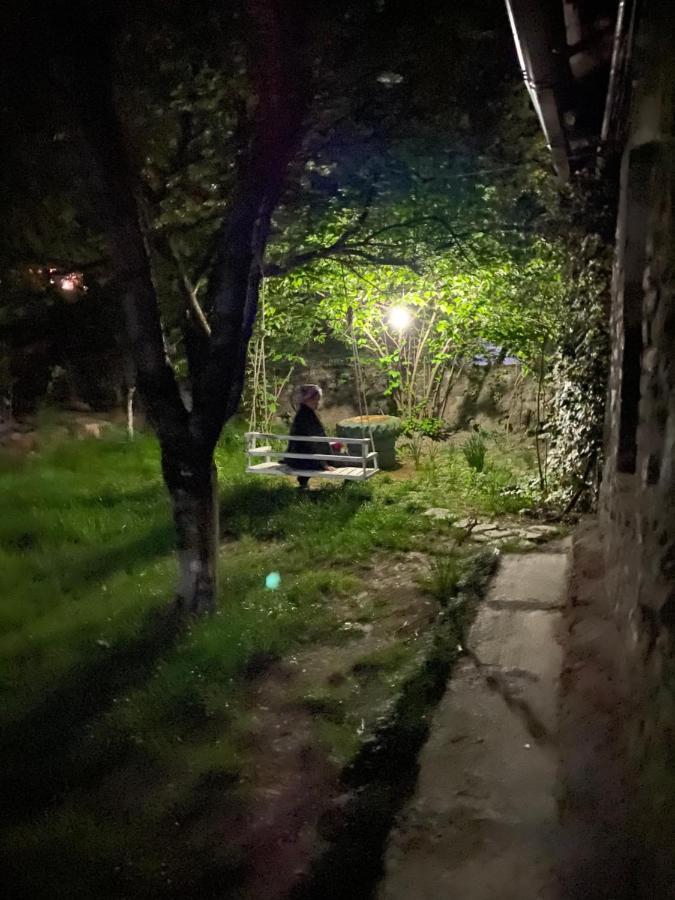 Ludwig Guesthouse Lagodekhi Bagian luar foto