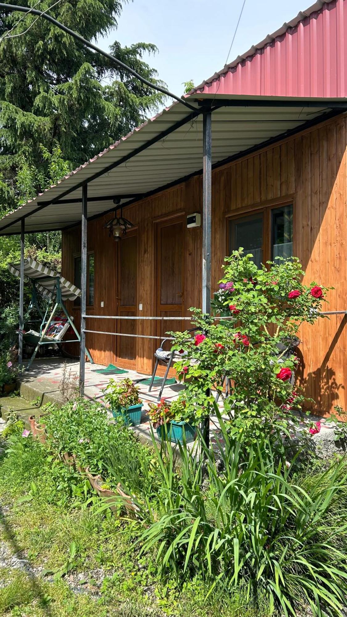 Ludwig Guesthouse Lagodekhi Bagian luar foto