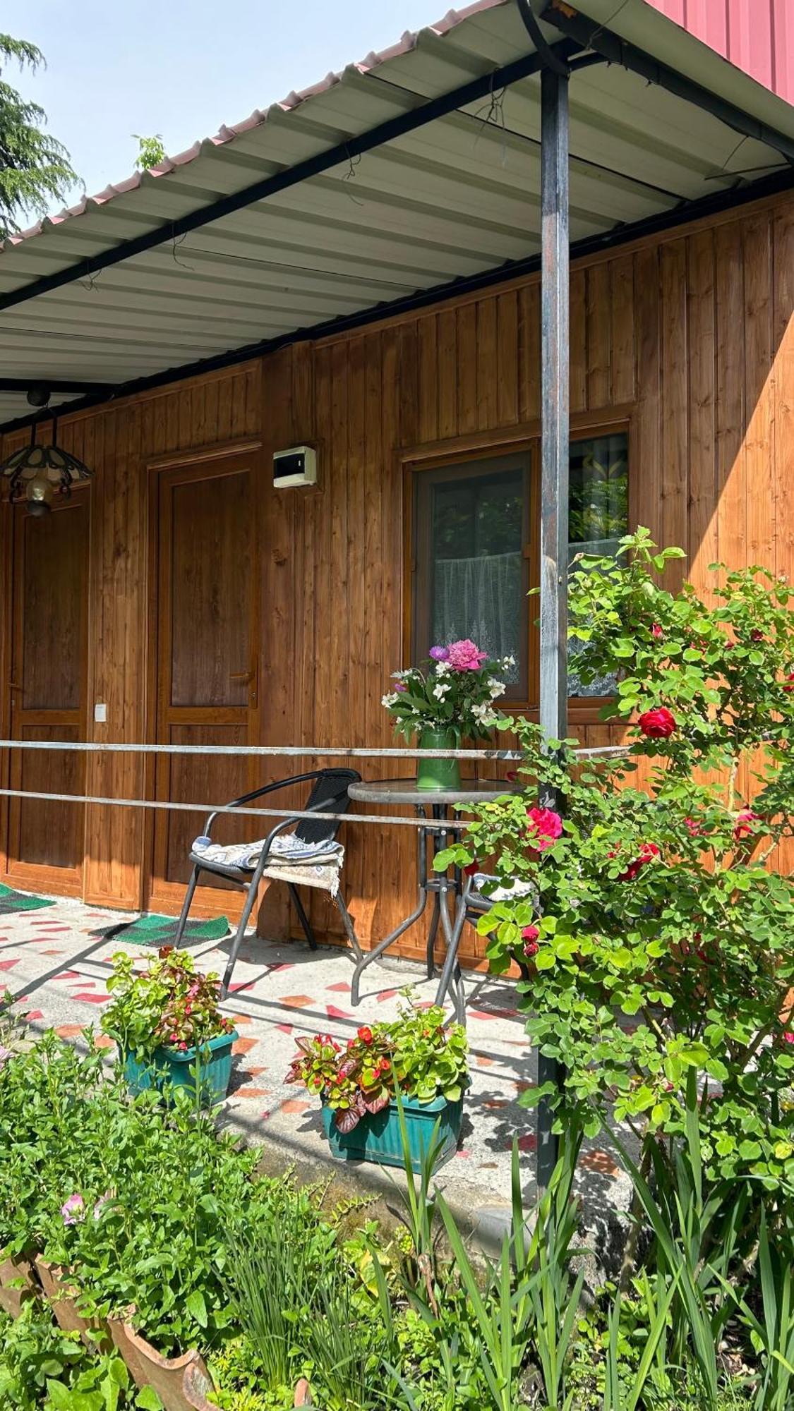Ludwig Guesthouse Lagodekhi Bagian luar foto