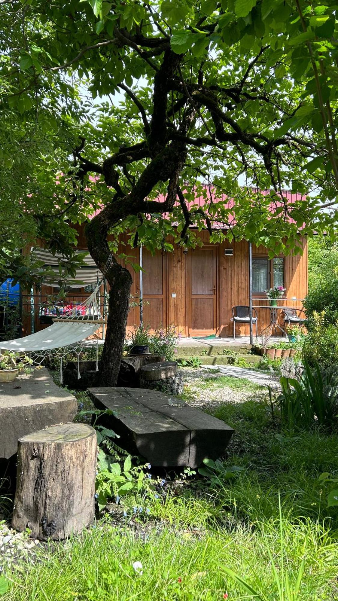 Ludwig Guesthouse Lagodekhi Bagian luar foto
