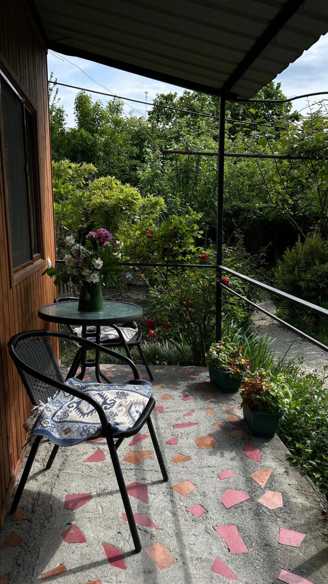 Ludwig Guesthouse Lagodekhi Bagian luar foto