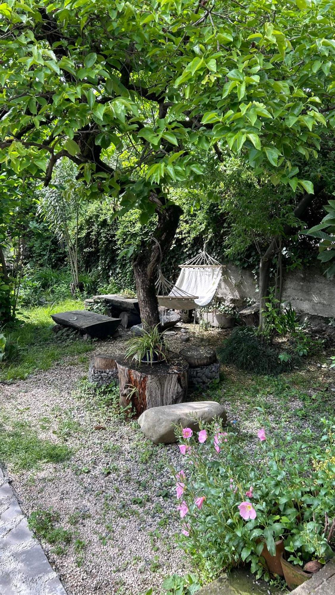 Ludwig Guesthouse Lagodekhi Bagian luar foto