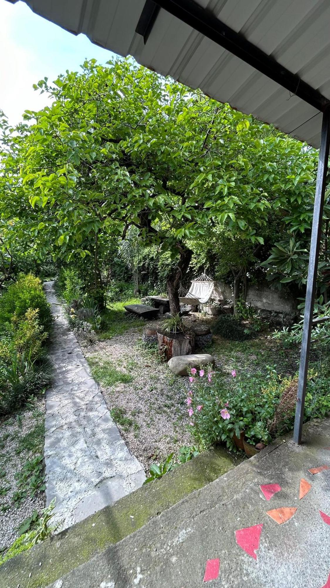 Ludwig Guesthouse Lagodekhi Bagian luar foto