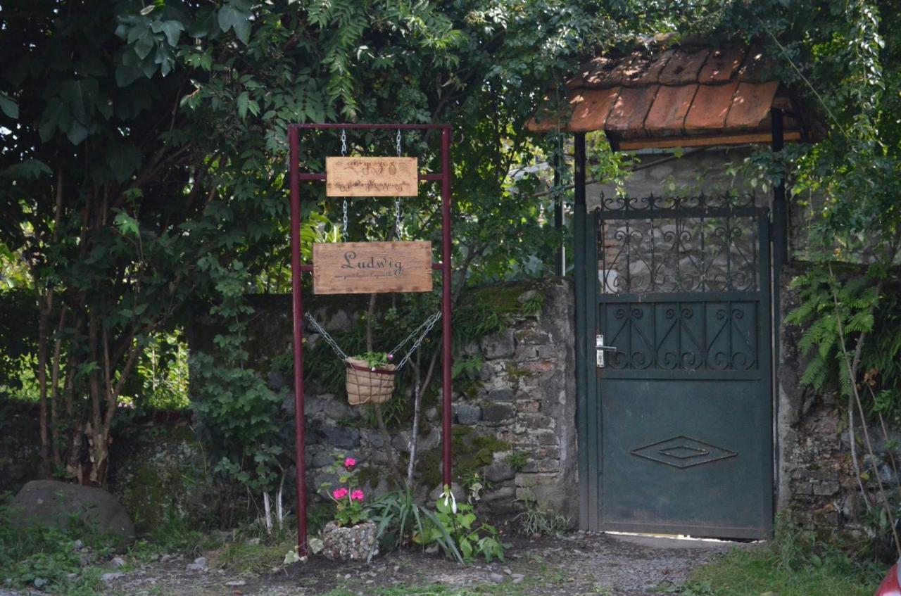 Ludwig Guesthouse Lagodekhi Bagian luar foto